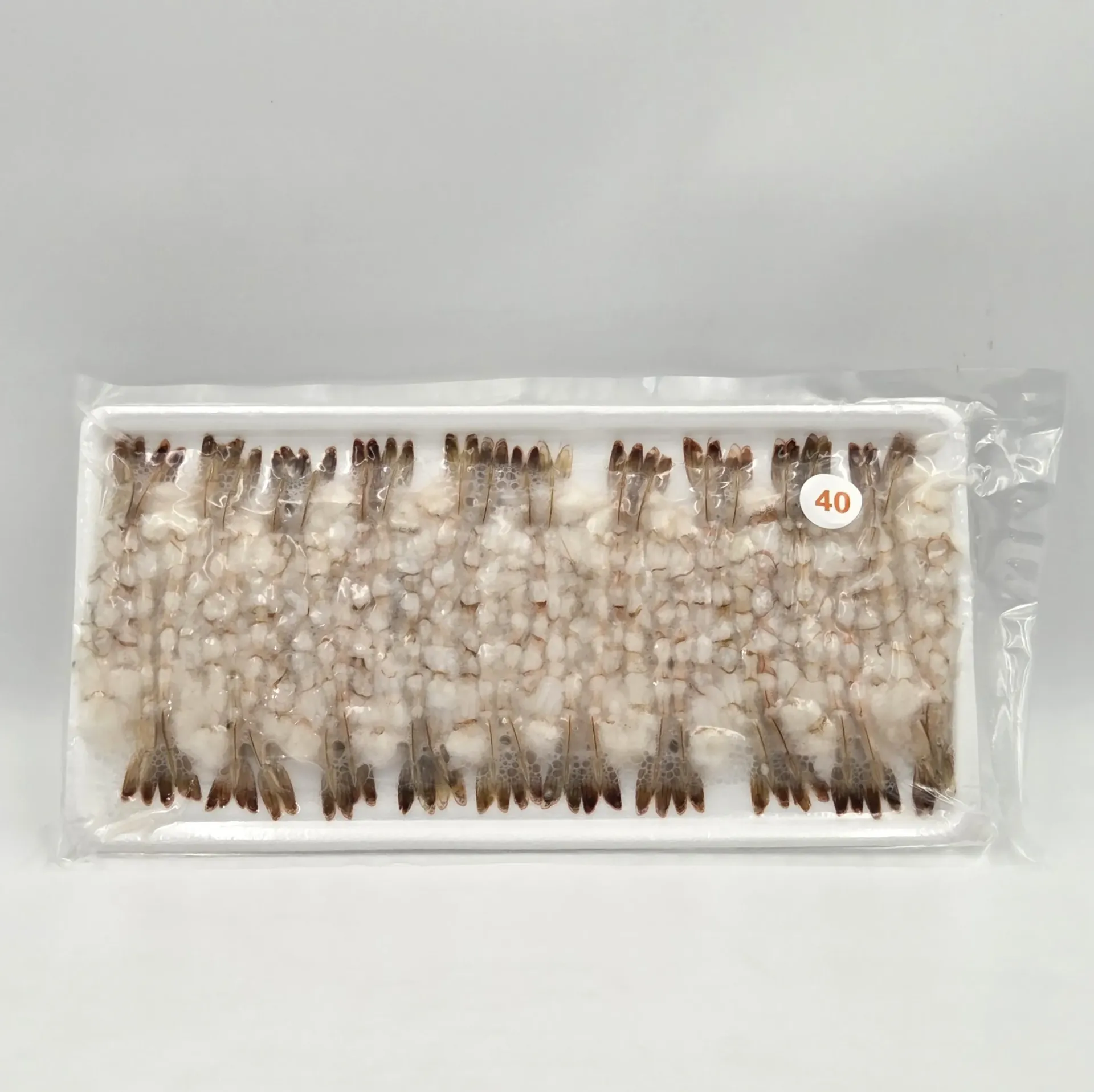 [10089] 노바시 40미 300(g)pack*20