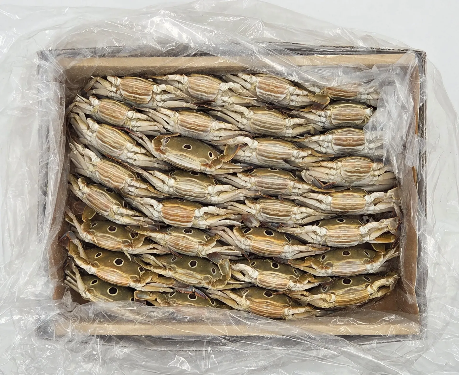 삼점게 암게 6kg*1